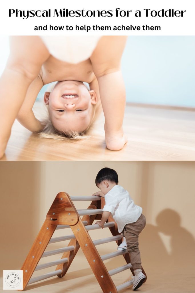 toddler developmental milestones