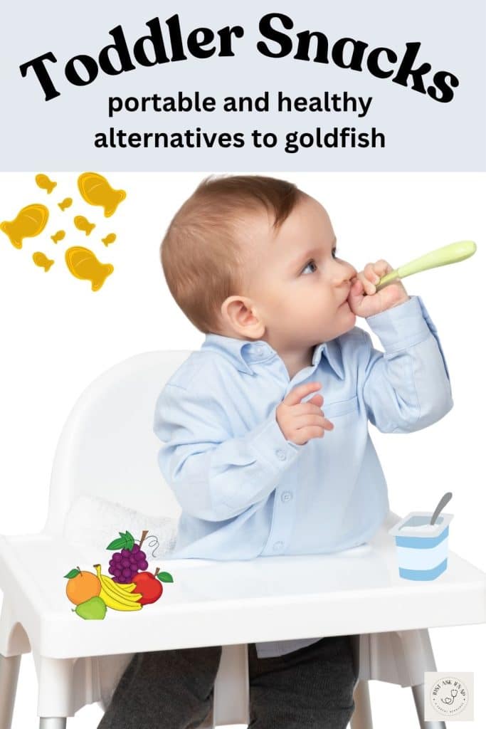 toddler snack ideas